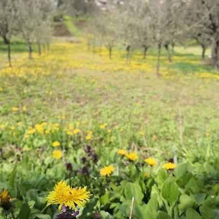 Domboldal Vendeghaz Appartamento Noszvaj