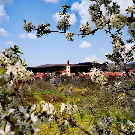 Domboldal Vendeghaz Appartamento Noszvaj