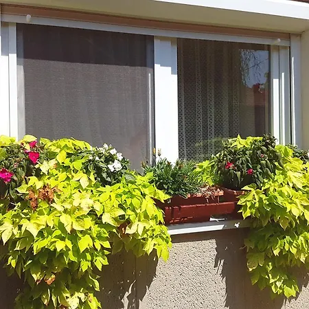 Domboldal Vendeghaz *